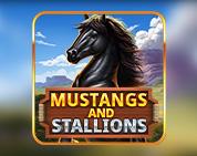 Mustang and Stallions
